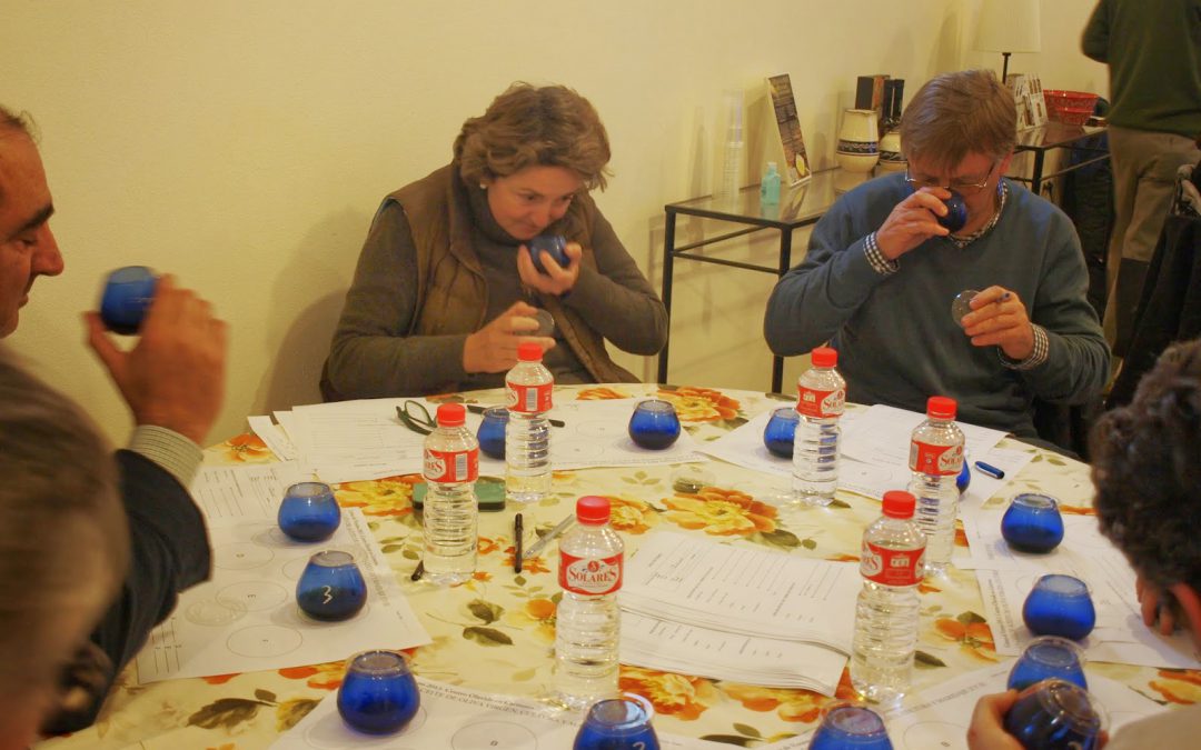 Another olive oil tasting course 2