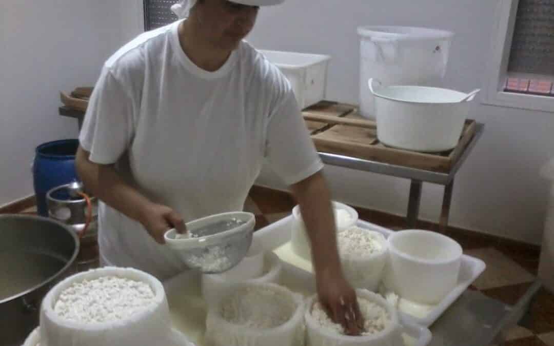 A new cheese producer in the Sierra de Grazalema