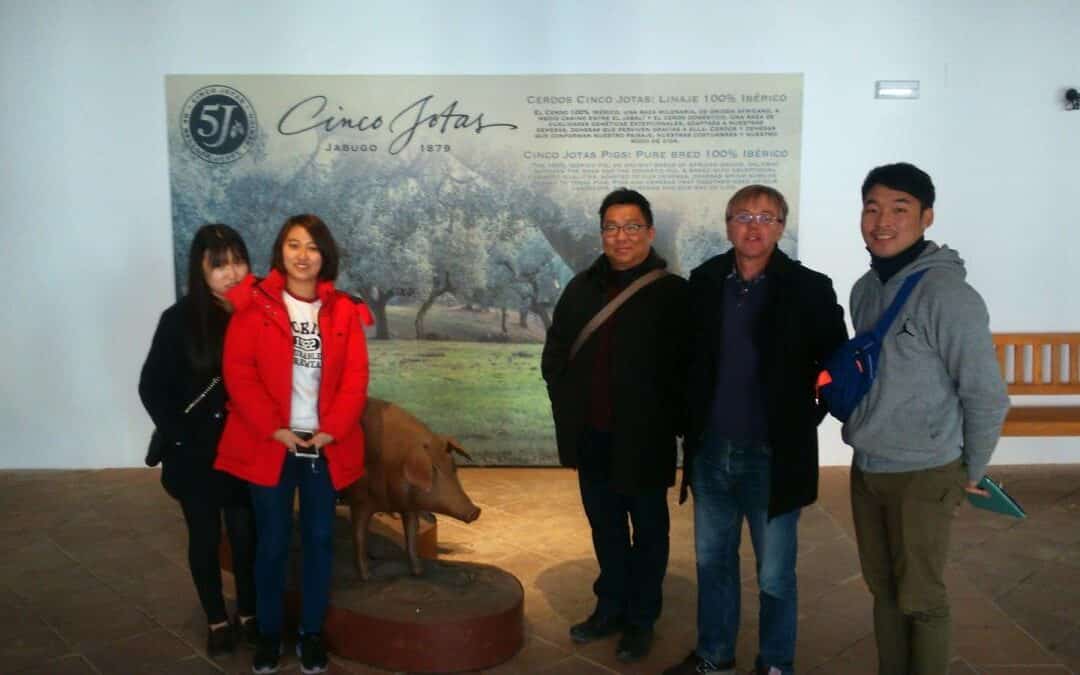 More wonderful Iberian ham