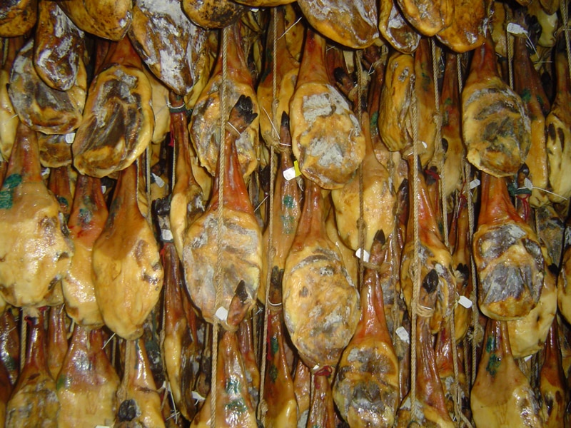 Iberico hams hanging up and curing