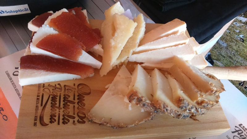Four different sliced cheeses for tasting