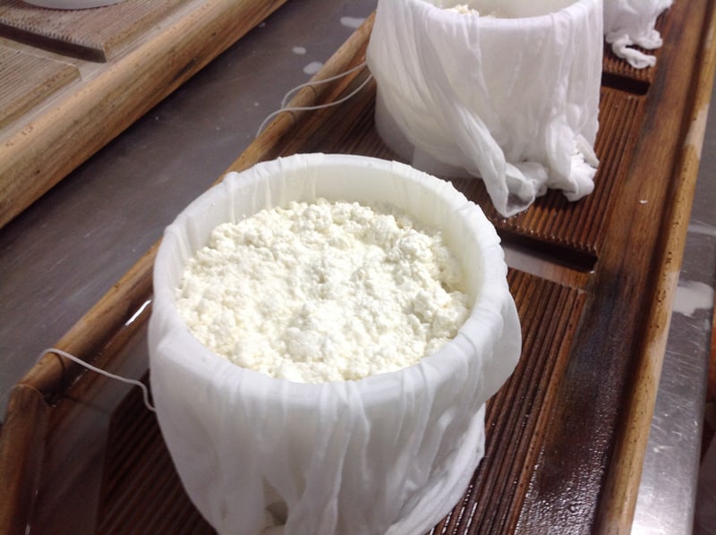 Curds in cheesecloth in plastic mould