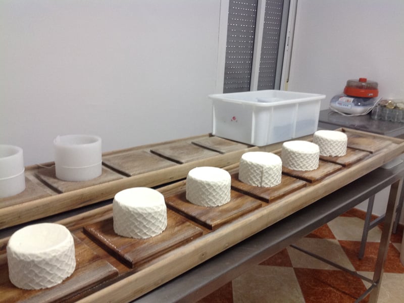 Fresh cheese with the moulds removed